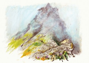 Pass im Nebel