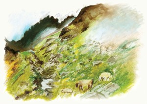 Sommerweide hochalpin