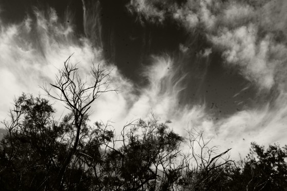 Wolken Wellen