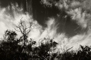 Wolken Wellen